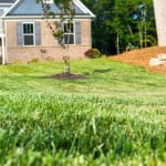 A lawn with grass and trees in front of a house.