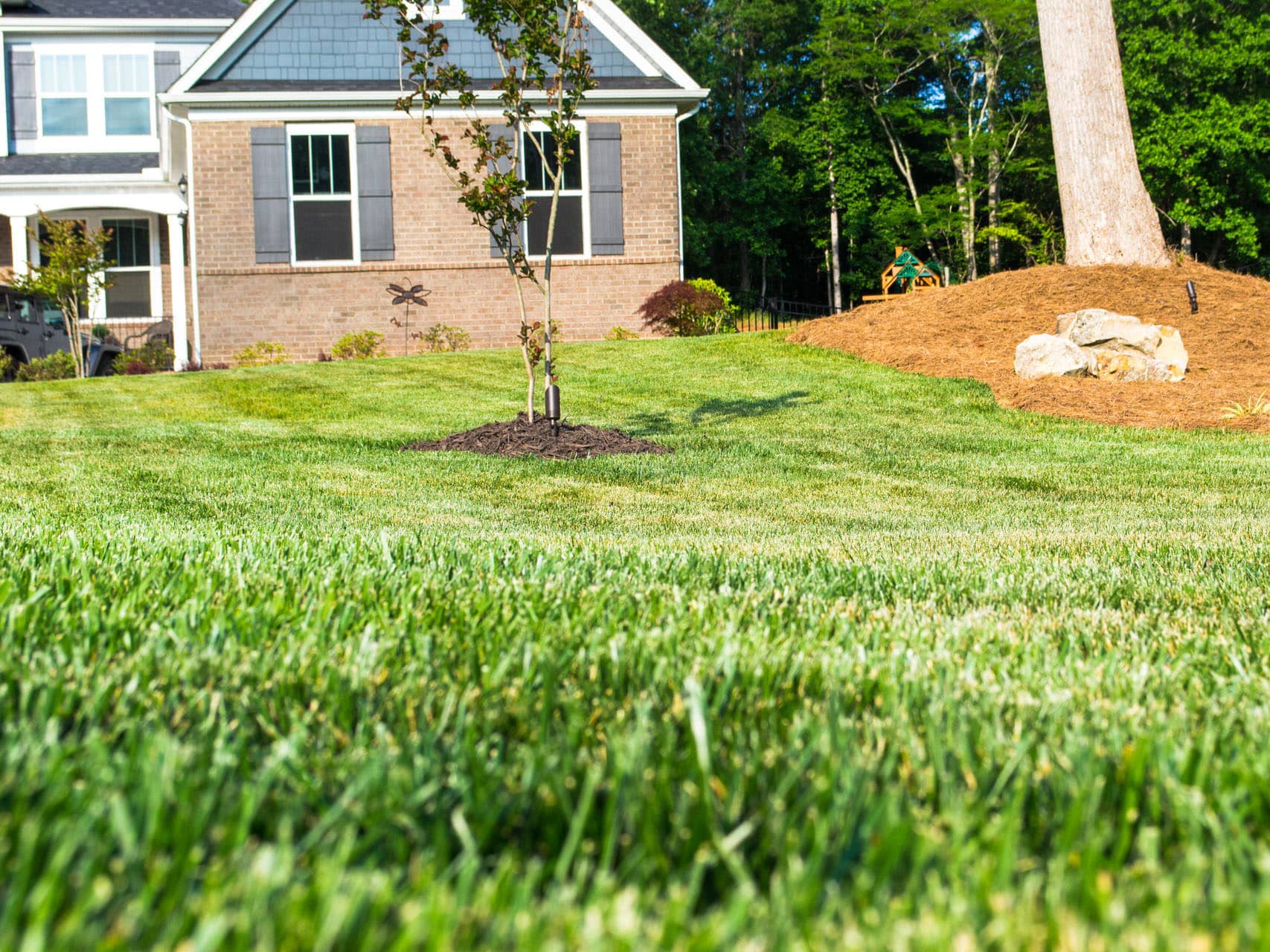 A lawn with grass and trees in front of a house.