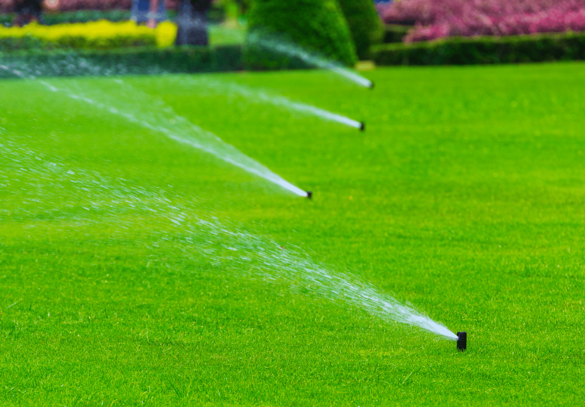 Sprinklers watering the lawn in a garden.