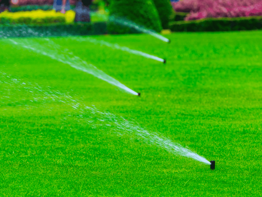 Sprinkler irrigation watering the lawn in a garden.