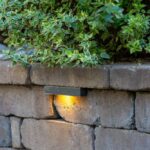 Outdoor solar light mounted on a brick wall, illuminating the underside of an overhanging bush.