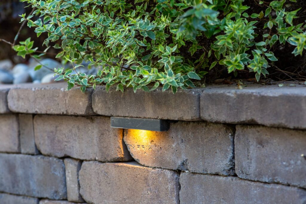 Outdoor solar light mounted on a brick wall, illuminating the underside of an overhanging bush.