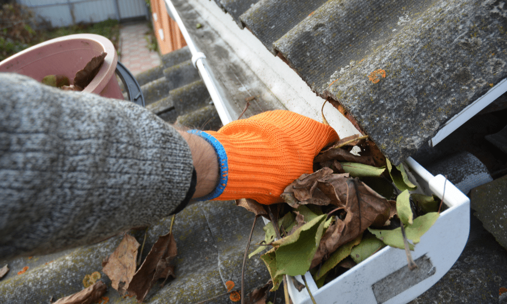 A person wearing an orange glove is cleaning leaves from a roof gutter.