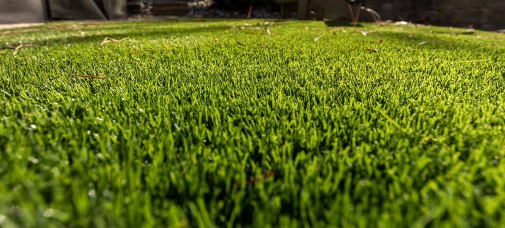 Close-up view of an artificial grass lawn in sunlight, with green blades and some scattered debris visible on the surface.
