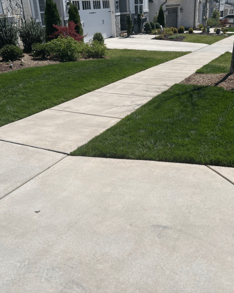 A concrete sidewalk divides sections of green grass in front of suburban houses on a sunny day.