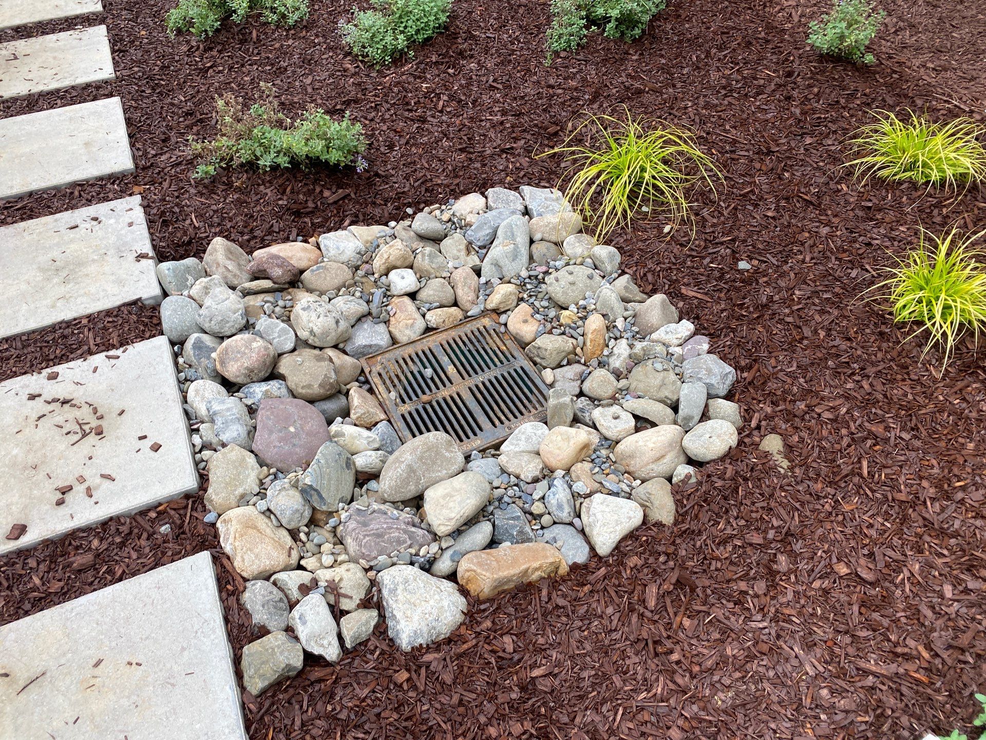 A metal drain grate is surrounded by various sized rocks, set within a landscaped area with mulch, stepping stones, and small green plants.