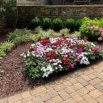 A landscaped garden bed with blooming pink and white flowers, green shrubs, and mulch, bordered by a stone wall and a brick walkway.