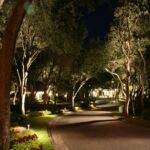 A curved residential street at night is illuminated by ground-level lights, with large trees and landscaped gardens lining both sides of the road.