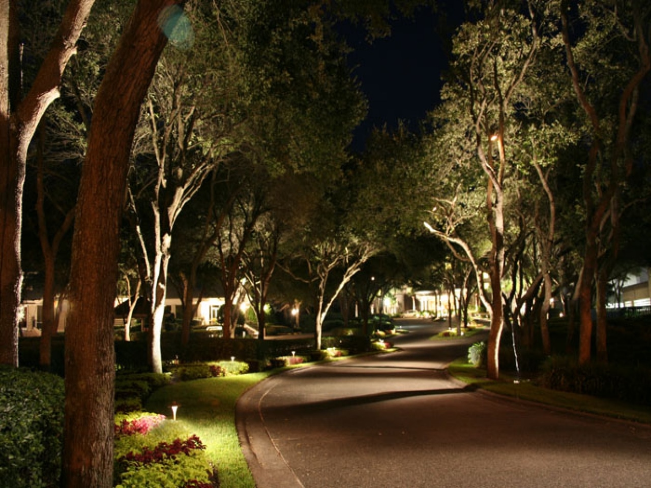 A curved residential street at night is illuminated by ground-level lights, with large trees and landscaped gardens lining both sides of the road.
