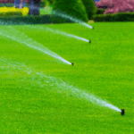 Row of sprinklers watering a well-maintained, green lawn in a landscaped garden.