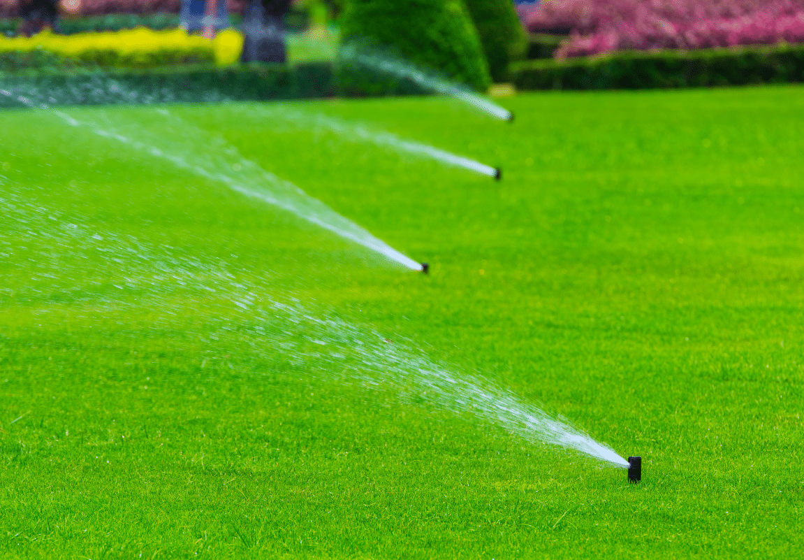 Row of sprinklers watering a well-maintained, green lawn in a landscaped garden.