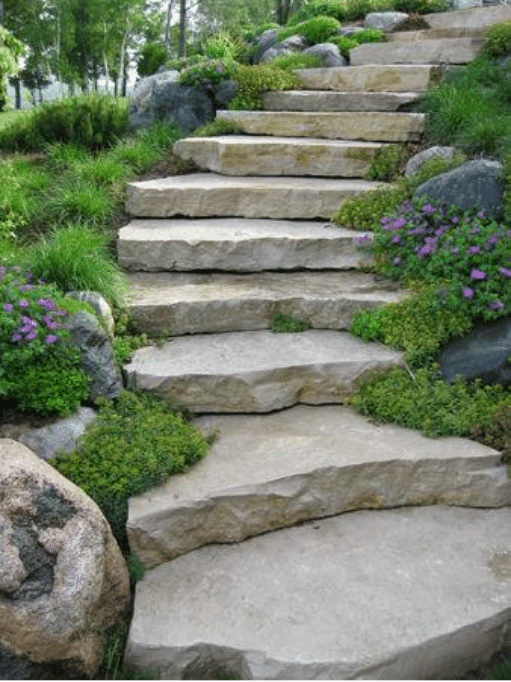 Stone steps surrounded by green plants and purple flowers lead upward through a landscaped garden.