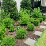 Green shrubs and bushes are planted in a mulched garden bed beside a patio with black outdoor furniture and large windows; stone pavers form a path along the edge.