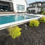 A backyard with a rectangular swimming pool, surrounding concrete deck, landscaped mulch bed with small shrubs, and modern-style houses in the background.