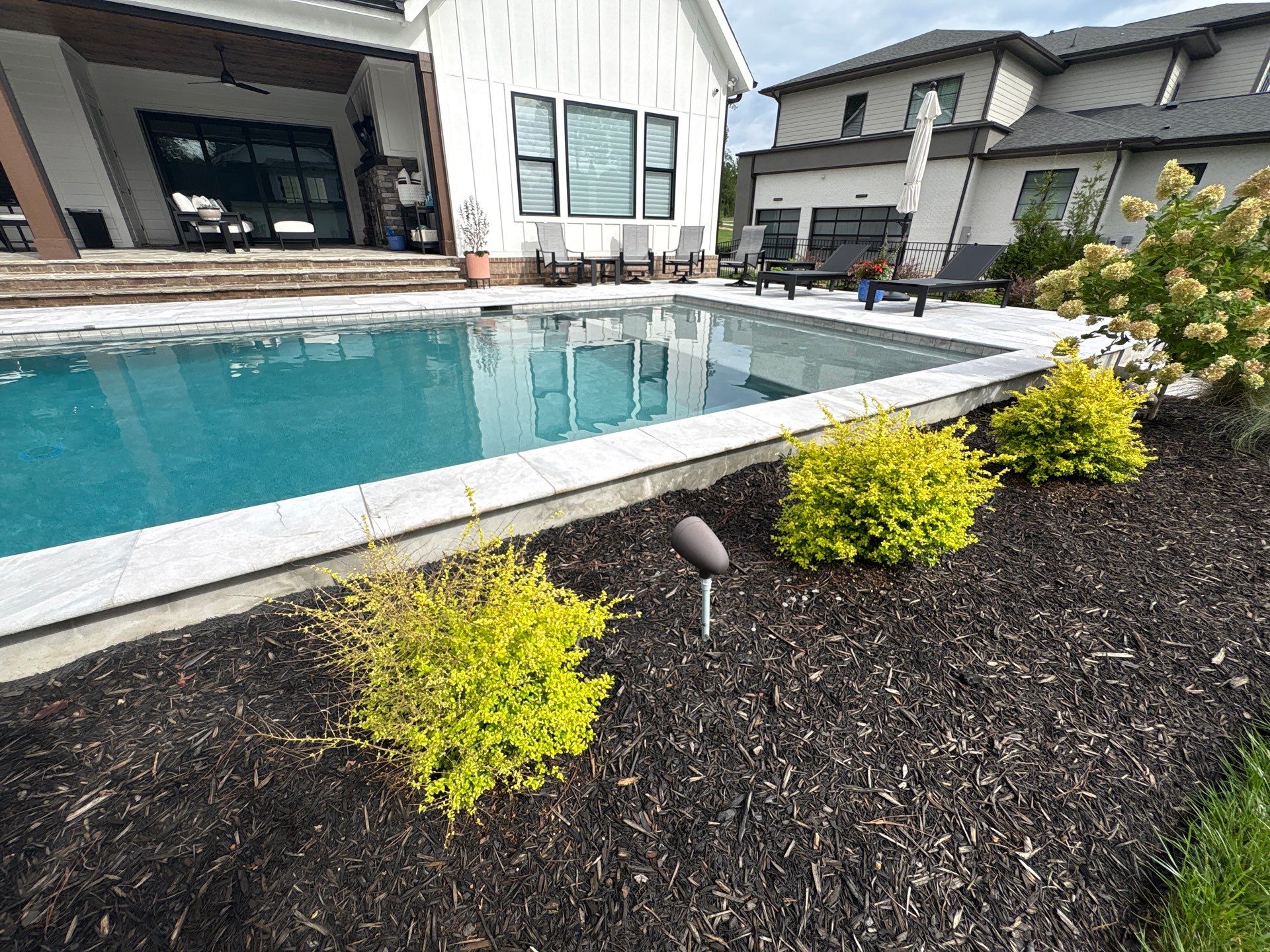 A backyard with a rectangular swimming pool, surrounding concrete deck, landscaped mulch bed with small shrubs, and modern-style houses in the background.