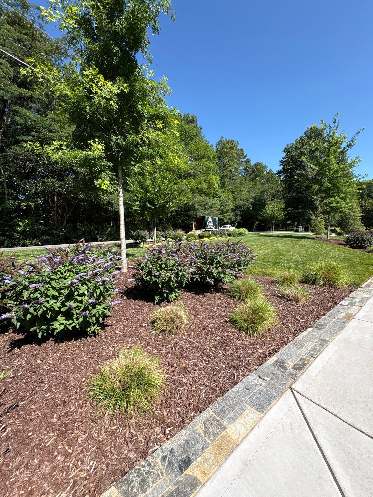 A landscaped garden with mulch, shrubs, and young trees beside a stone-edged sidewalk under a clear blue sky.