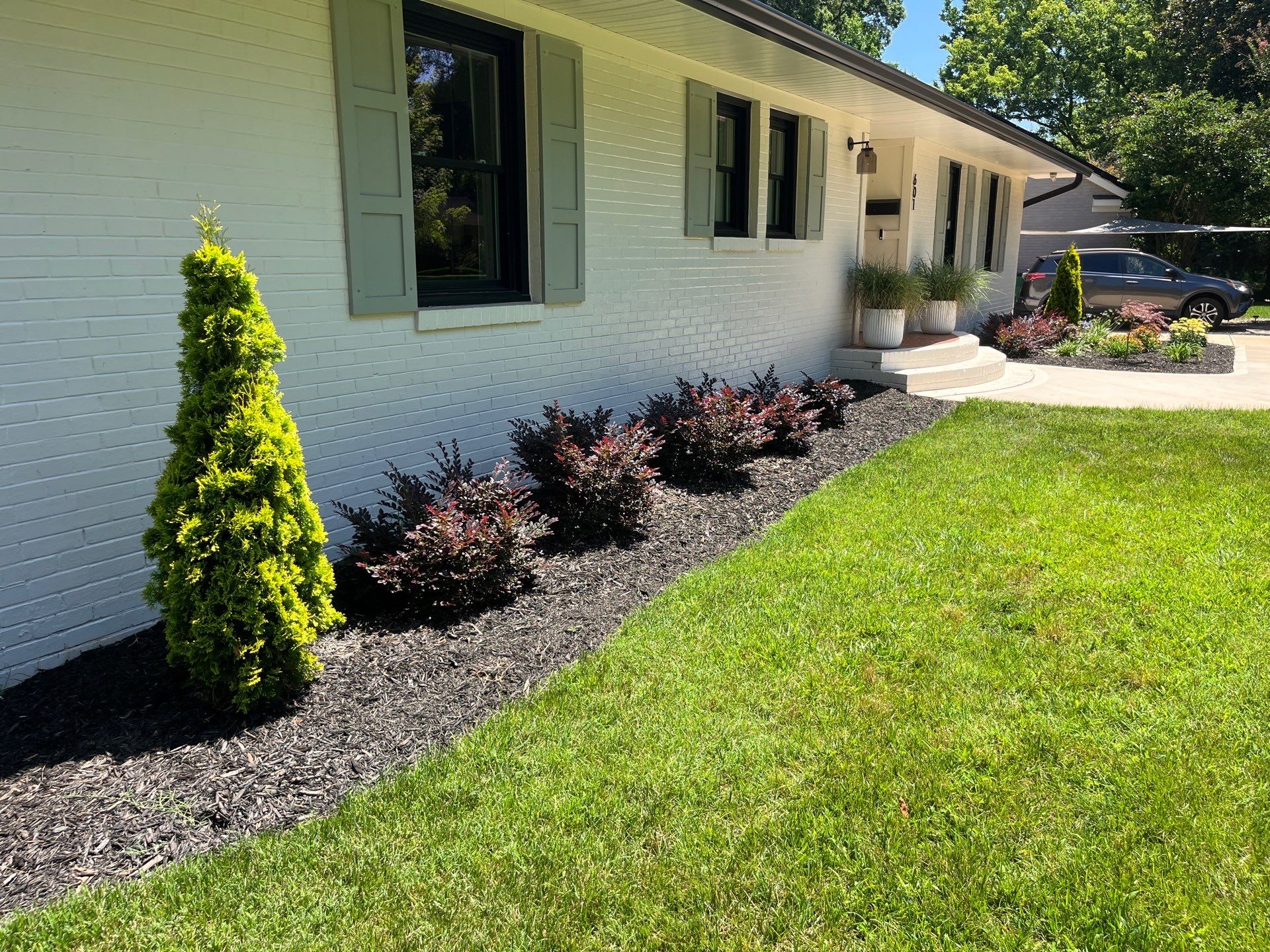 Landscaped front yard with mulch, small shrubs, conical evergreen trees, and a white brick house with green shutters and potted plants by the door.