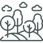 Simple line drawing of trees on rolling hills with three clouds in the sky.