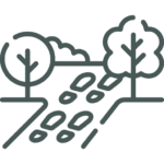 Outline illustration of a walking path with footprints between two trees and shrubs.