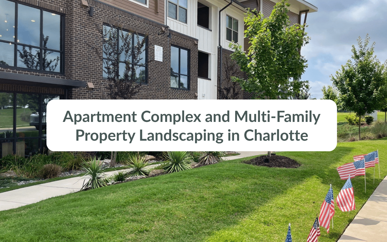 A landscaped apartment complex in Charlotte features a neatly trimmed lawn, trees, plants, and small American flags along the sidewalk.