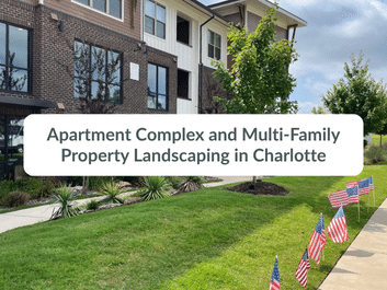 Apartment complex with landscaped lawn, small trees, and American flags lining the sidewalk in Charlotte.