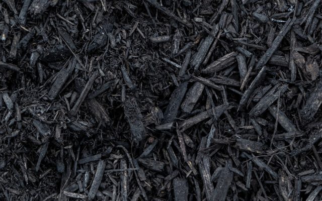 Close-up view of dark brown mulch, showing shredded wood pieces and organic matter.