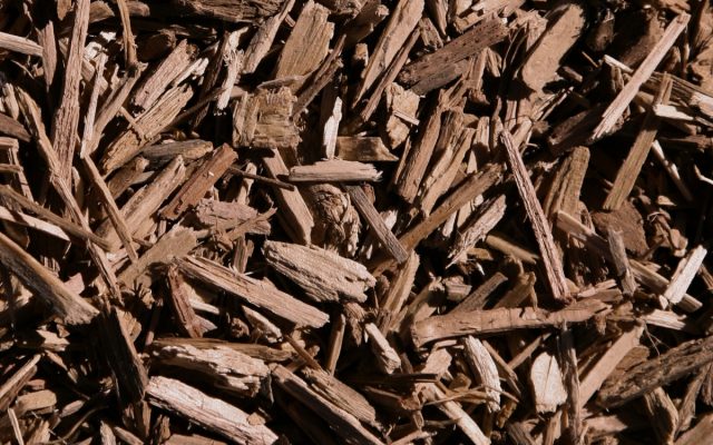 Close-up view of brown wood chips or mulch scattered in an uneven layer.